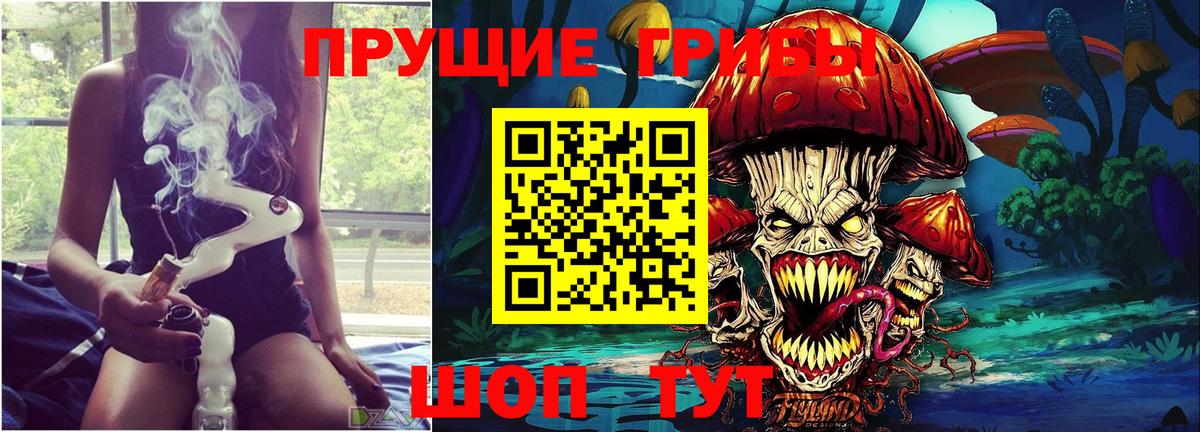 Псилоцибиновые грибы Psilocybe Сочи